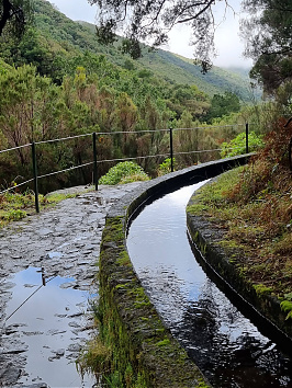 A víz mindehol kincs - A sok csapadékkal megáldott Madeira szigetén évszázadok alatt kiépült levadák biztosítják az egyenletesebb vizellátást